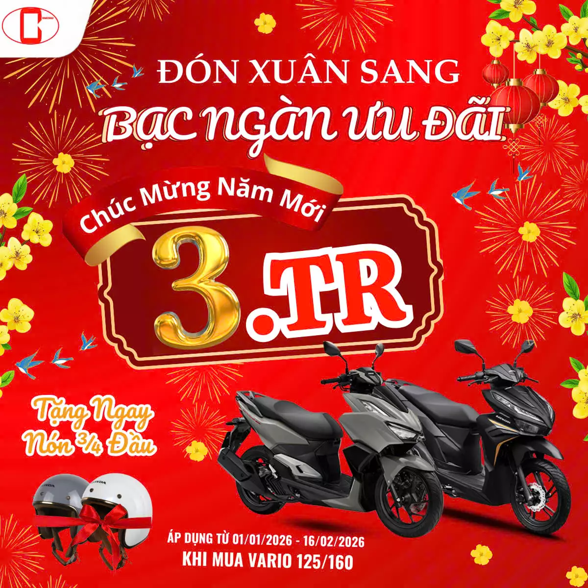  Đ𝐎́𝐍 𝐗𝐔𝐀̂𝐍 𝐒𝐀𝐍𝐆 – 𝐁𝐀̣𝐂 𝐍𝐆𝐀̀𝐍 𝐔̛𝐔 Đ𝐀̃𝐈